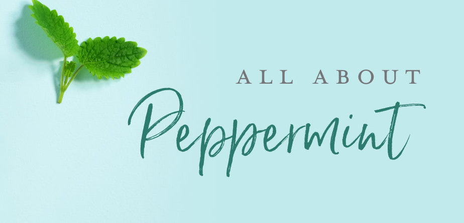 Peppermint Oil vs. Extract: What Makes Them Different?