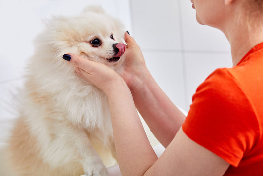 Harrods - Buy Dog Shampoo Online: Best Prices in India | Harrods