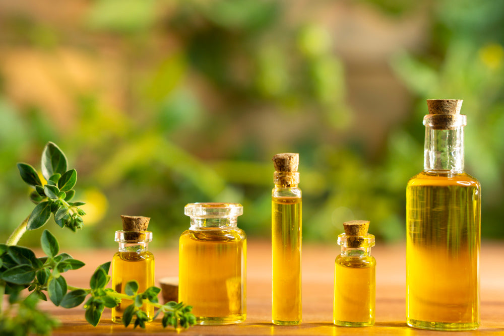 Oregano Liquid Extract