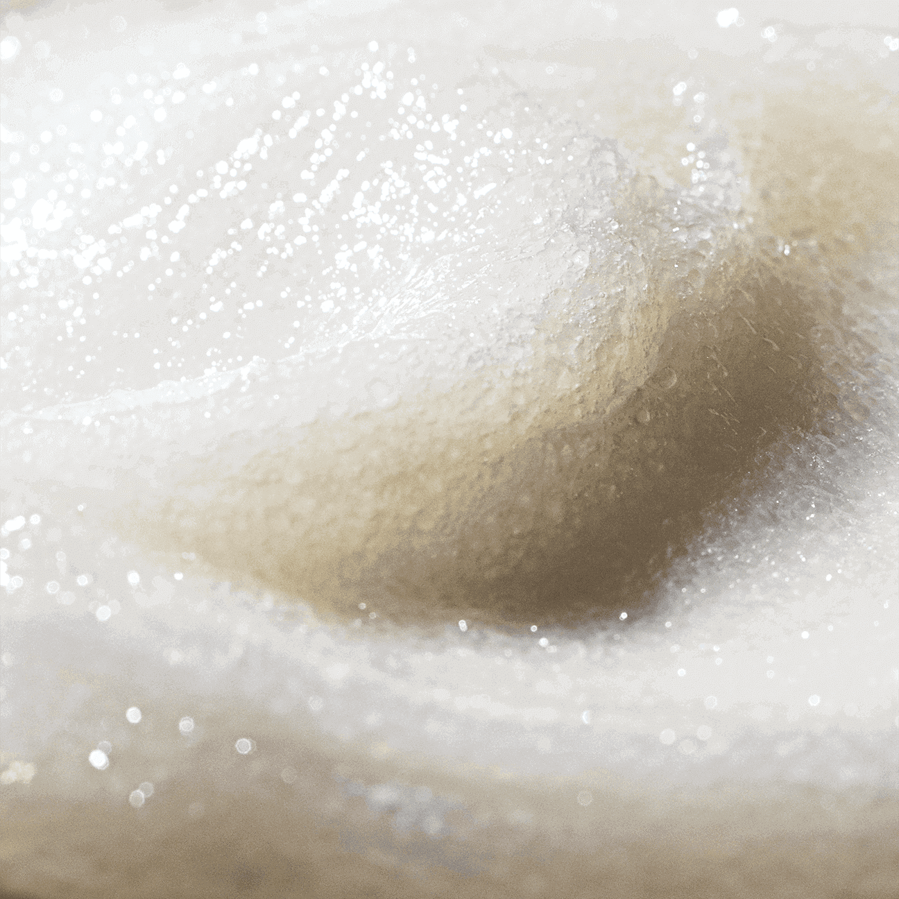 Sea Salt Scalp Scrub