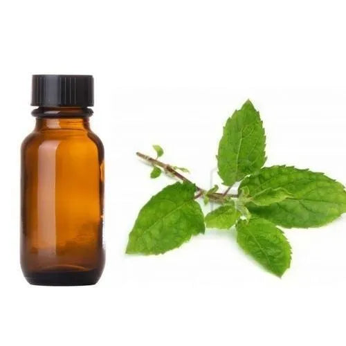 Green Tea Liquid Extract