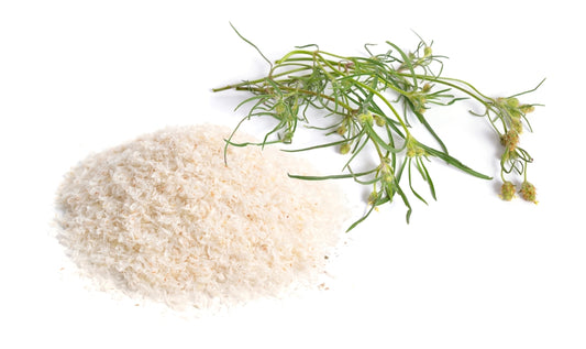 Psyllium Husk Powder