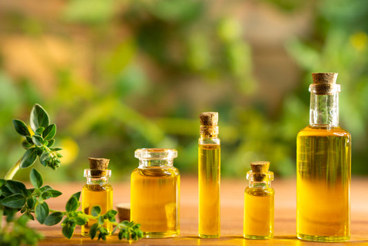 Oregano Liquid Extract