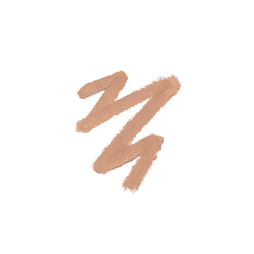 Touch Up Conceal