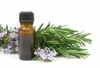 Rosemary Oleoresin (7% Carnosic Acid)