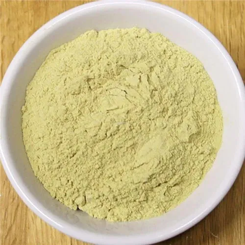 Aloe Vera Powder – Harrods Health