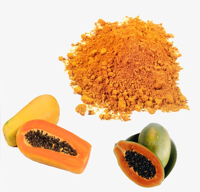 Papaya Powder