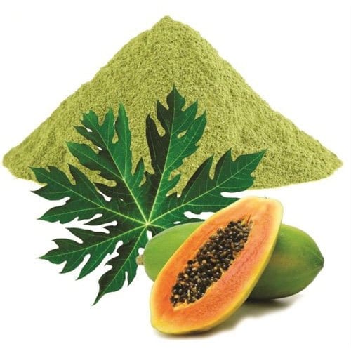 Papaya Leaves Powder – Harrods Health