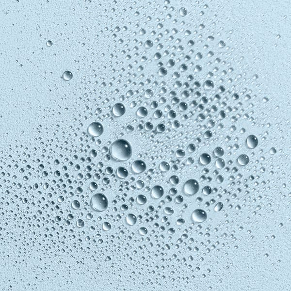 Eucalyptus Dog Grooming Spray