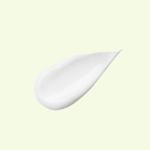 Vegan Fermented Emulsion